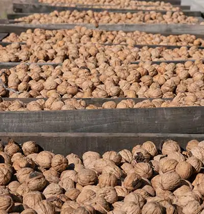 What are the Most Profitable Agricultural Land Investments in Turkey?
